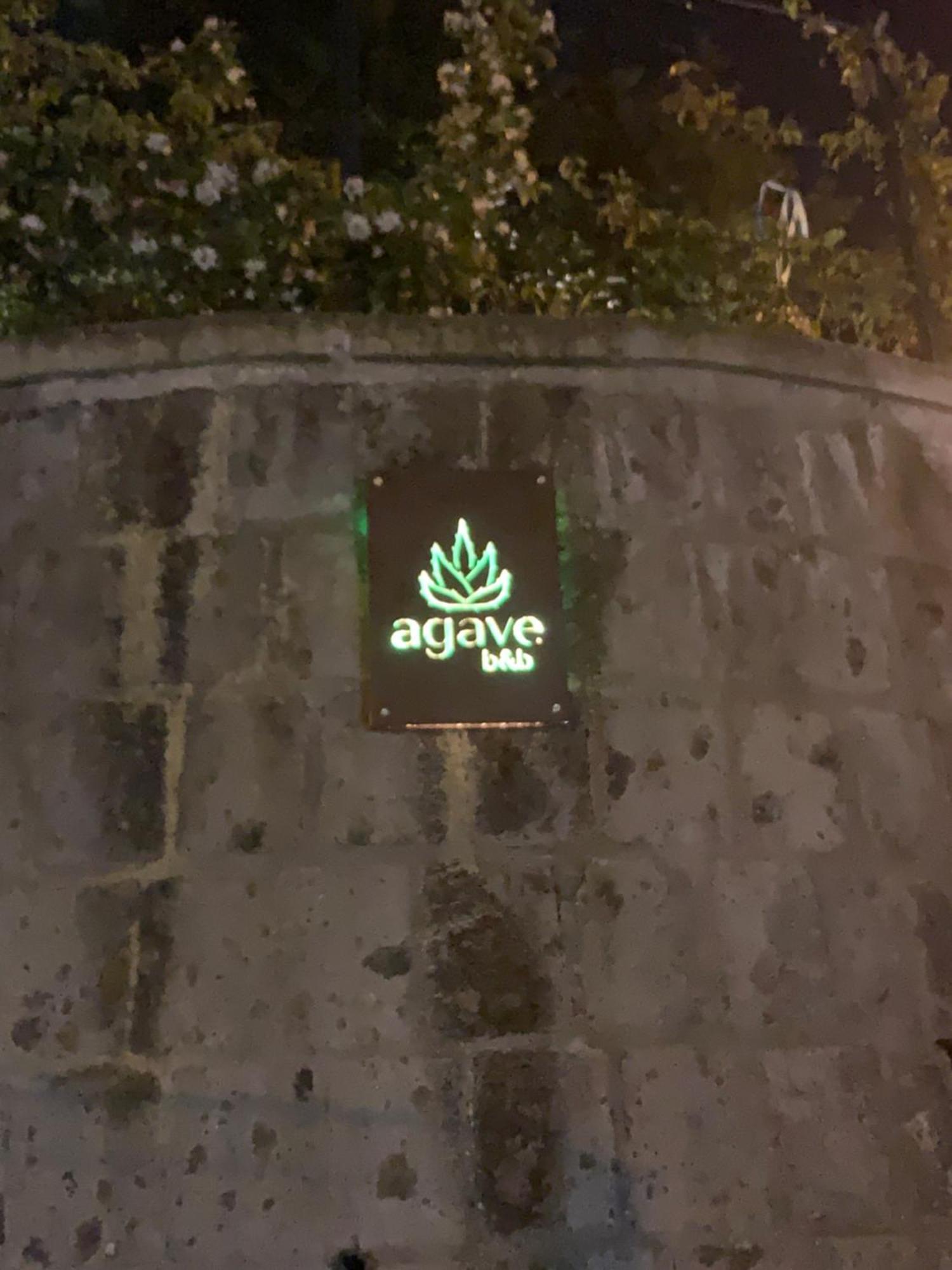 Agave B&B 维克艾库塞 外观 照片